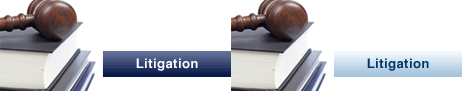 Litigation Services, Luton